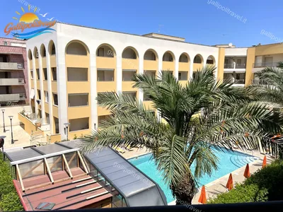 Le palme intorno alla piscina del Residence Rosa Virginia